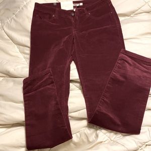 Lauren Conrad skinny cord pants
